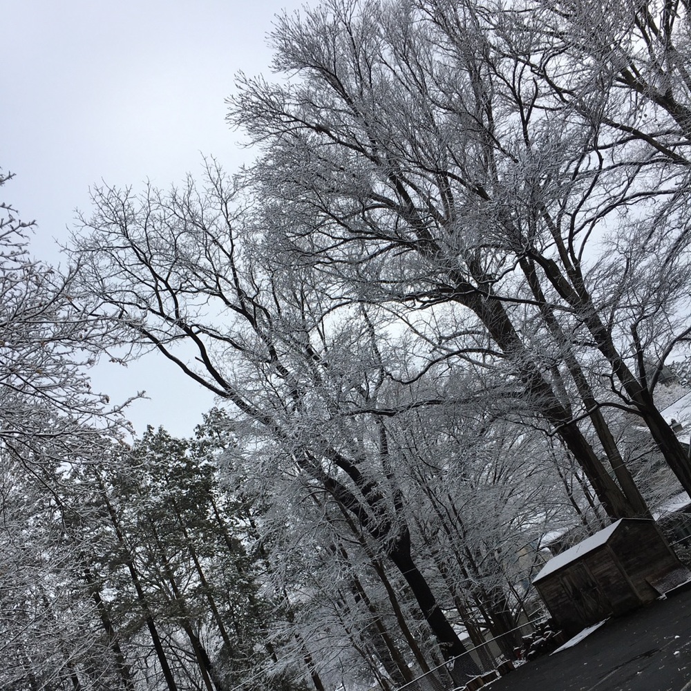 Meet your Posher, Lena